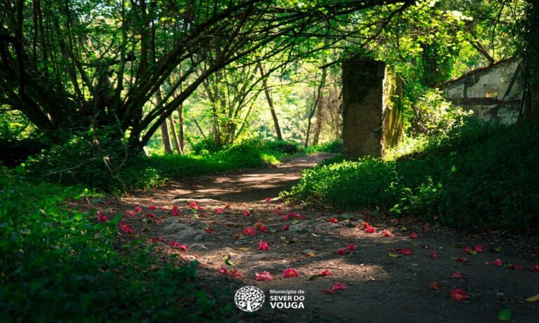 Projeto Nature Storytelling destina-se a qualificar e valorizar o turismo,