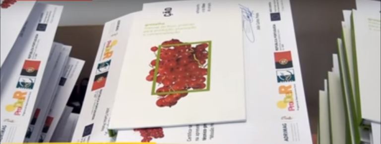 Apresentação do Manual de Boas Práticas do Mirtilo e da Groselha