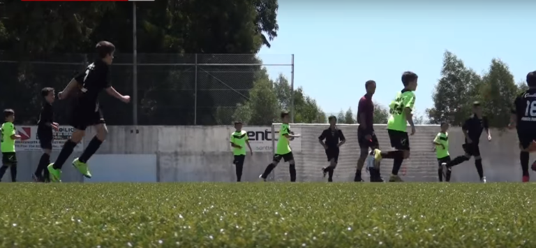 Festa do Mirtilo e Mirtilo Cup com muita animação em Sever do Vouga