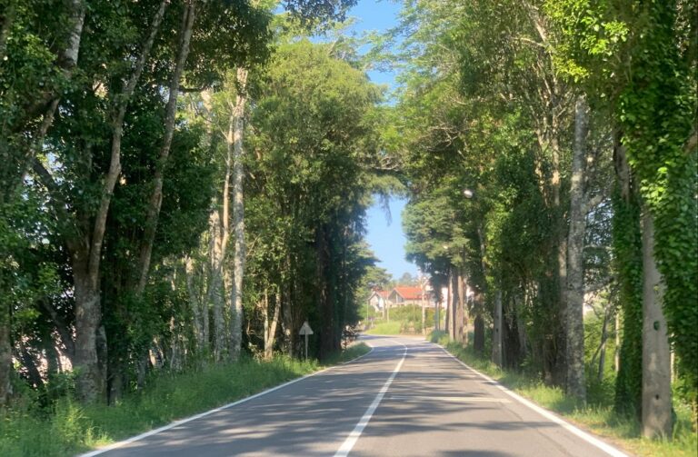 Apresentação da Candidatura para promover a EN16